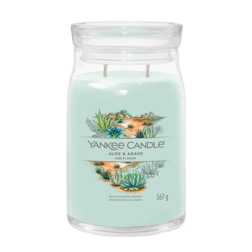 Aloe & Agave Yankee Candle grande jarre Marseille