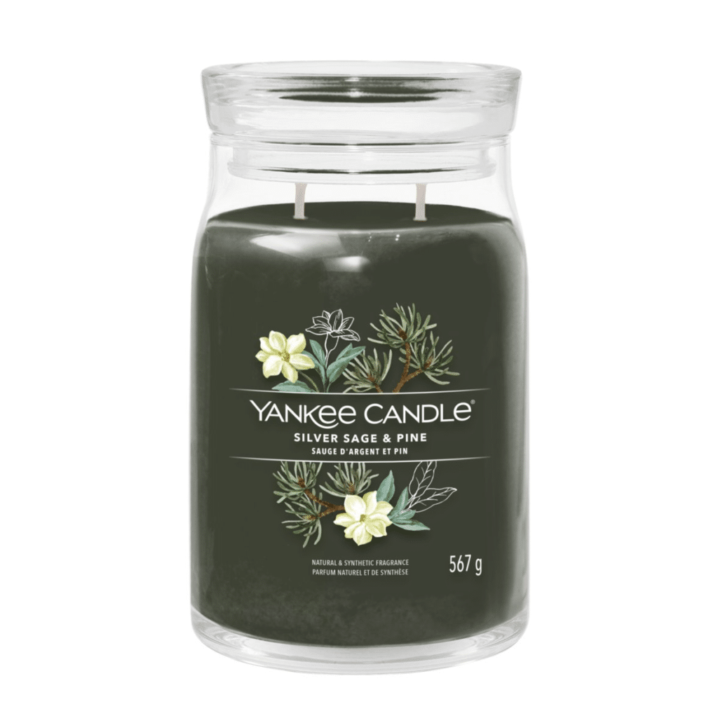 Bougie Yankee Candle Sauge Argentée & Pin / Silver Sage & Pine