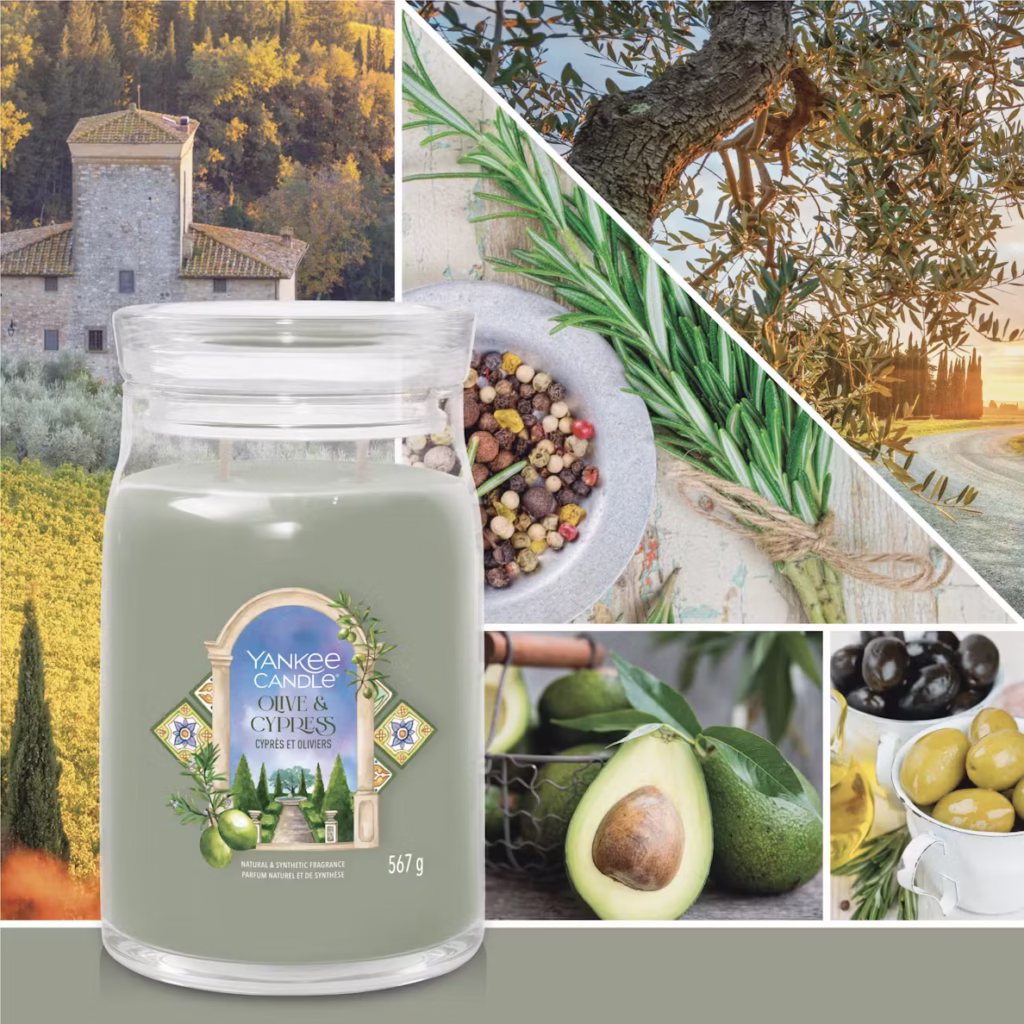 Cyprès et oliviers Bougie Yankee Candle grande jarre